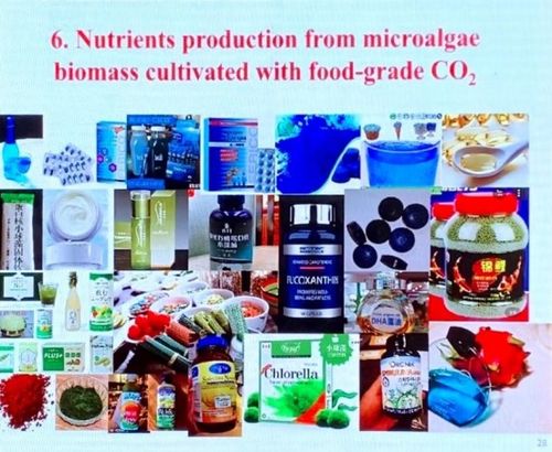 科技賦能碳中和 微藻減排燃煤電廠二氧化碳并聯(lián)產生物產品